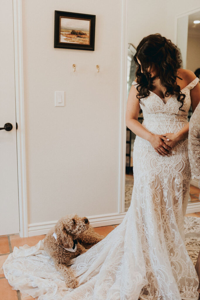bride getting ready with dog