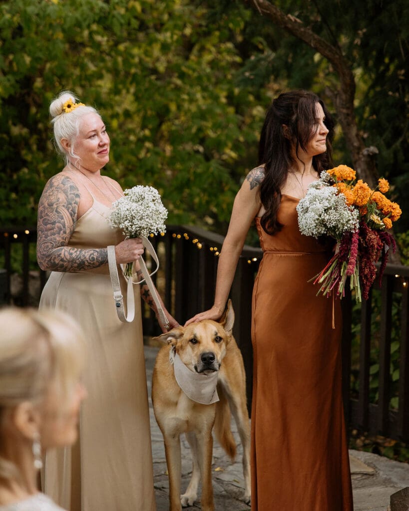 dog friendly wedding at millcreek inn