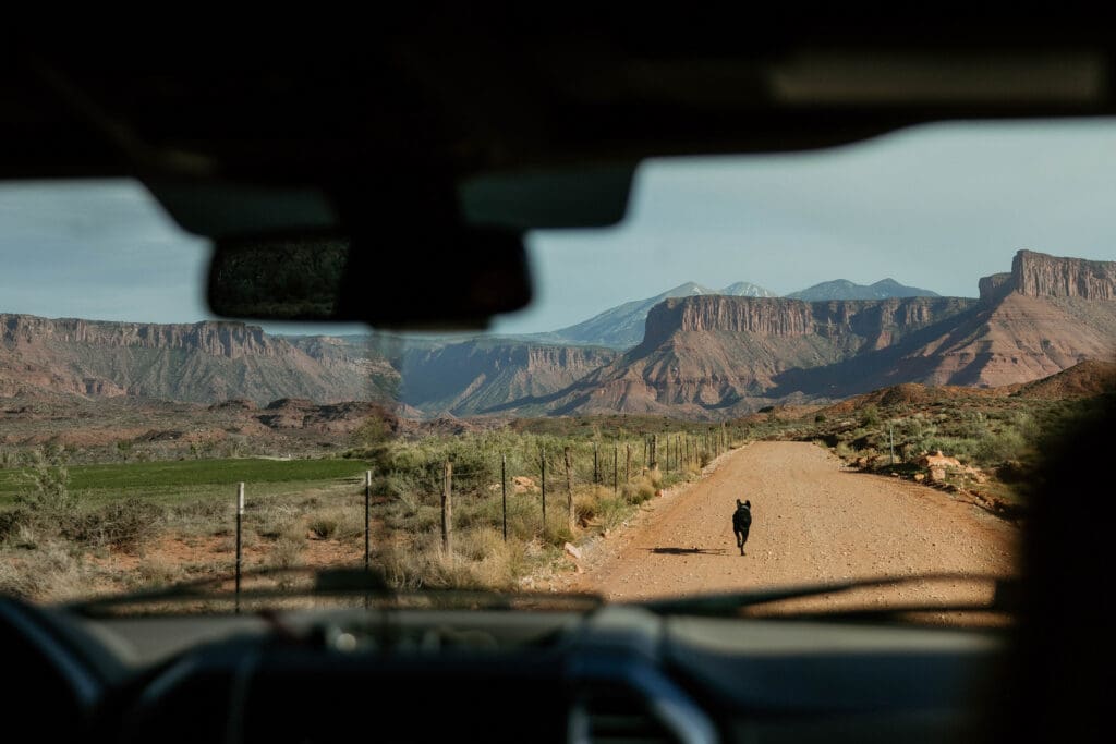 dog runs through the desert in moab