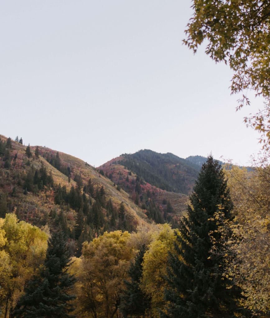 provo canyon in the fall