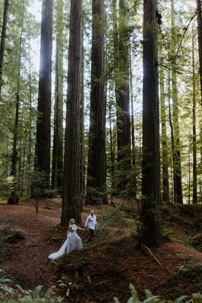 bride and groom explore redwood national park on adventure elopement day