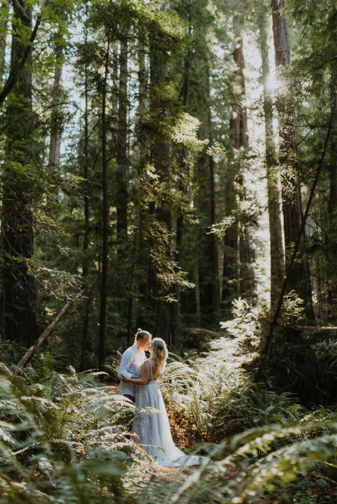 bride and groom in redwood national park on intimate elopement day