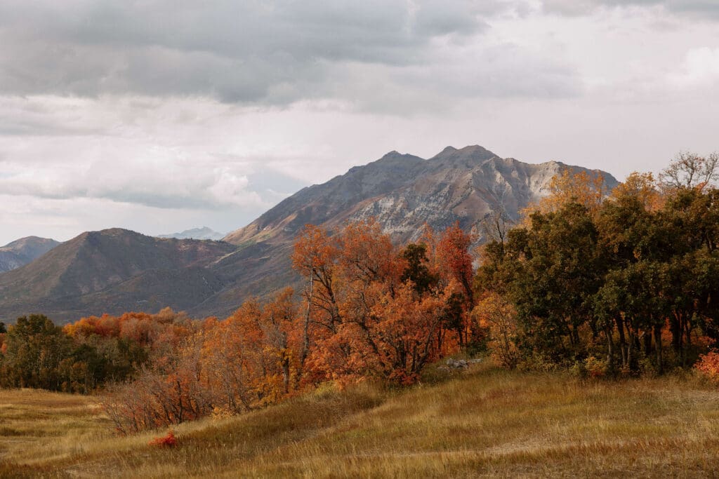utah mountain's in the fall