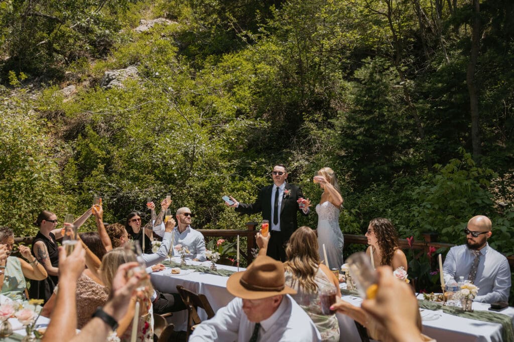 bride and groom toast at intimate wedding reception